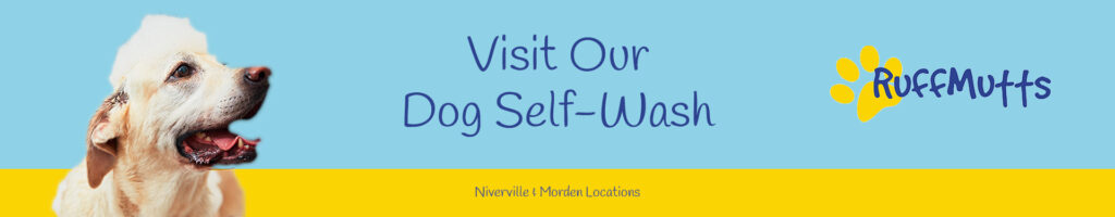 Visit Our Dog Self-Wash